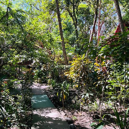 Calala Lodge Cabuya エクステリア 写真