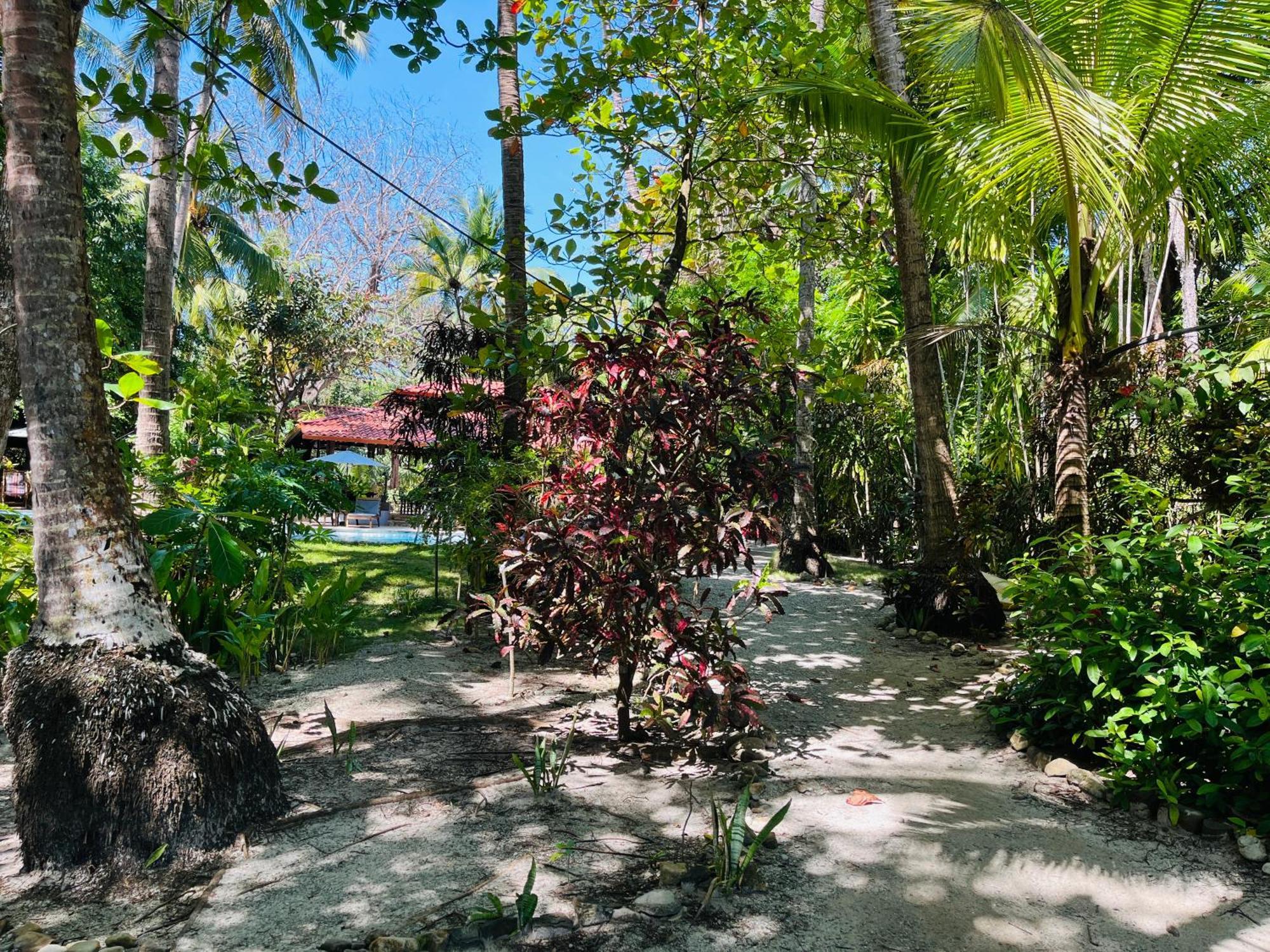 Calala Lodge Cabuya エクステリア 写真