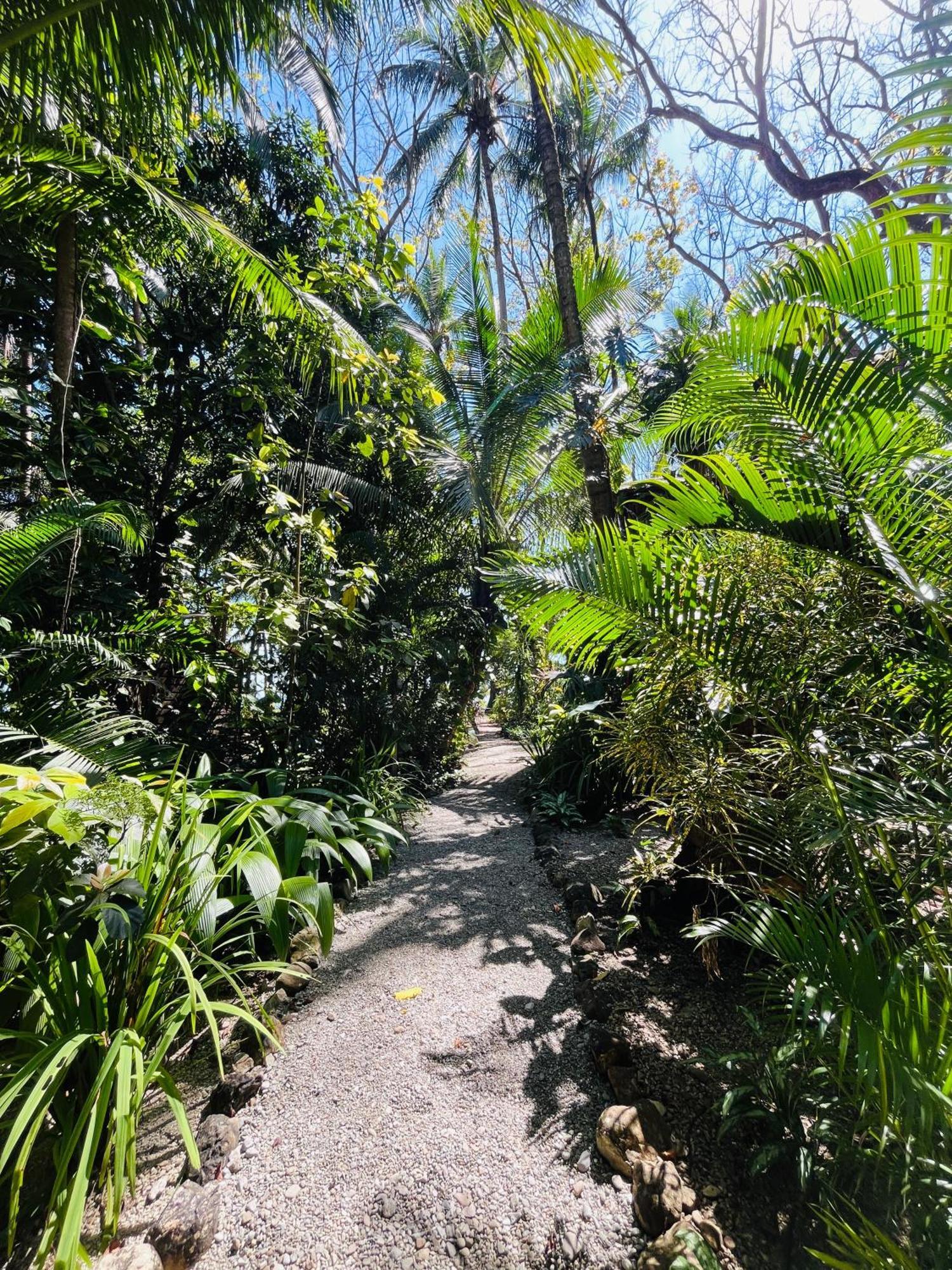 Calala Lodge Cabuya エクステリア 写真