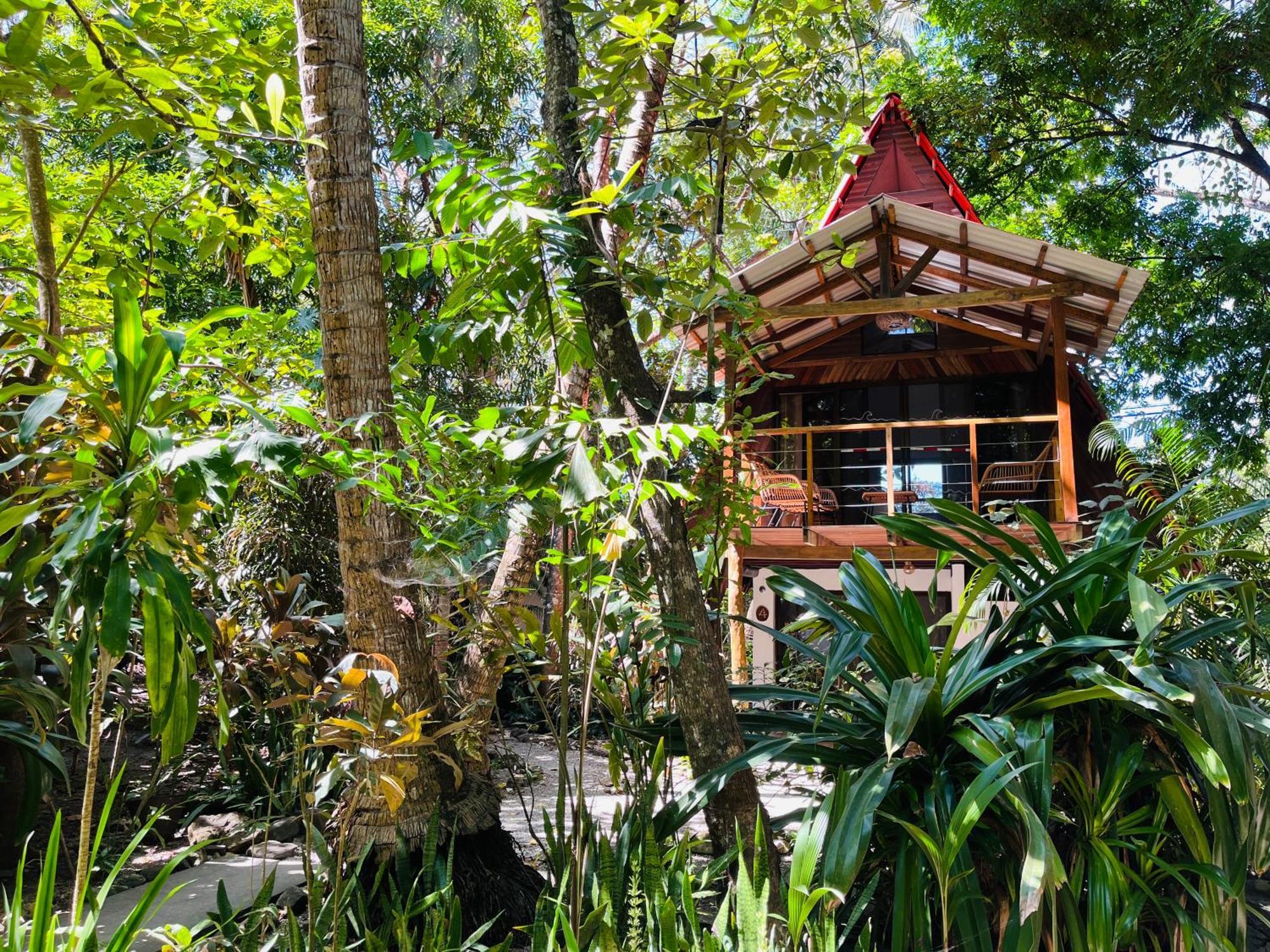 Calala Lodge Cabuya エクステリア 写真