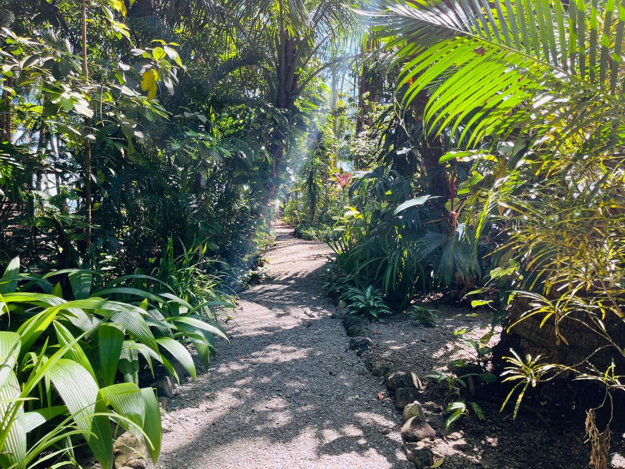 Calala Lodge Cabuya エクステリア 写真