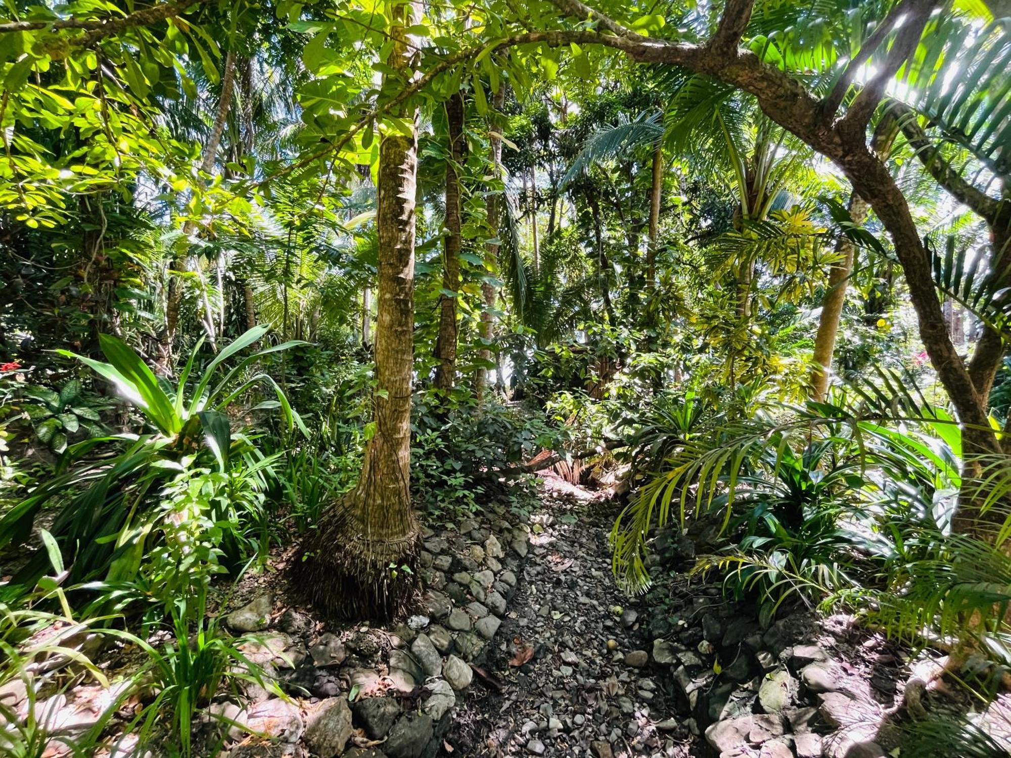 Calala Lodge Cabuya エクステリア 写真