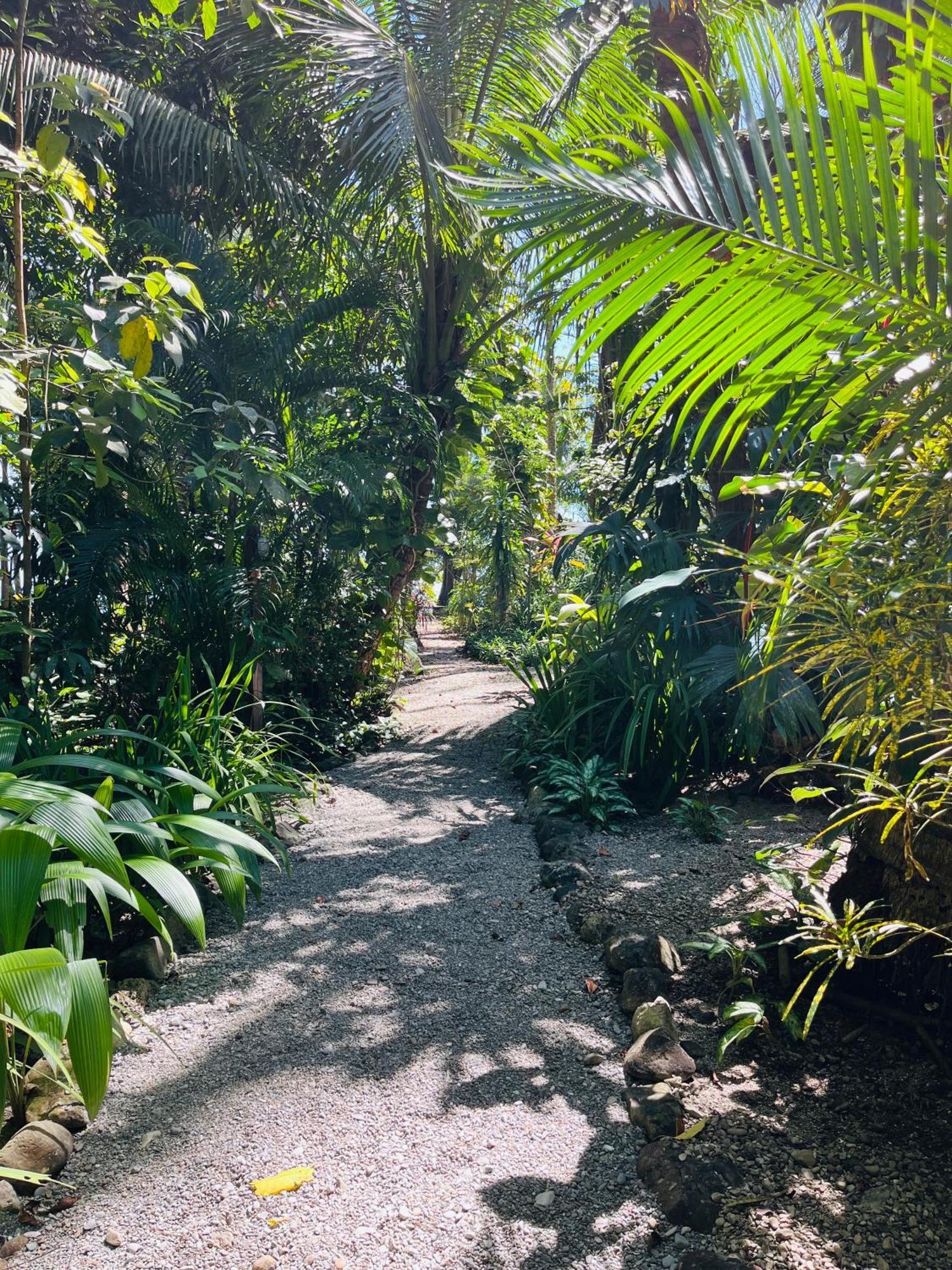 Calala Lodge Cabuya エクステリア 写真