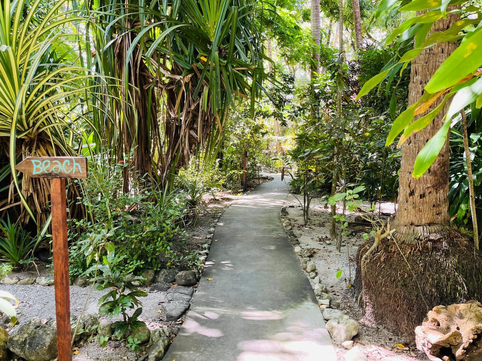 Calala Lodge Cabuya エクステリア 写真