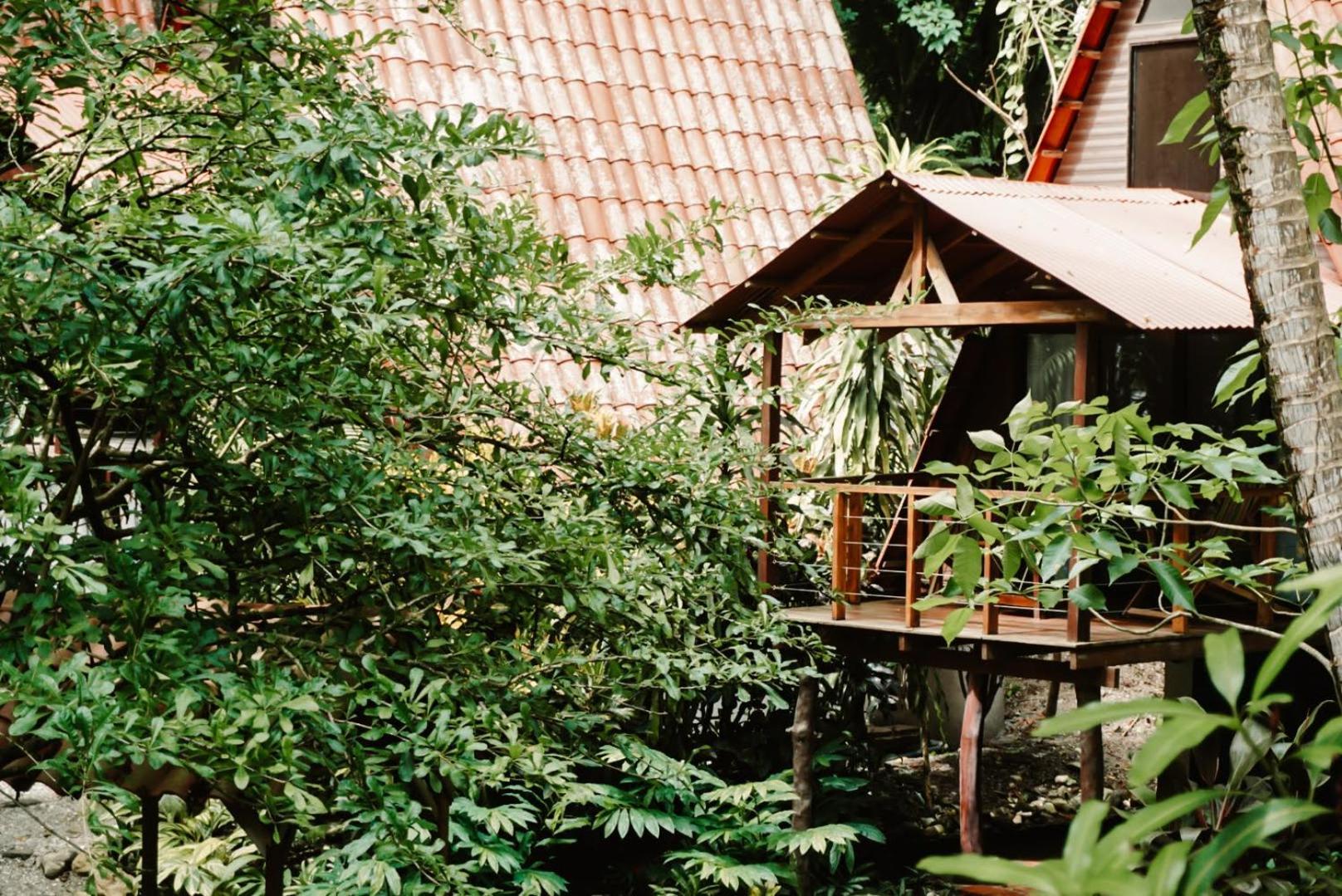 Calala Lodge Cabuya エクステリア 写真
