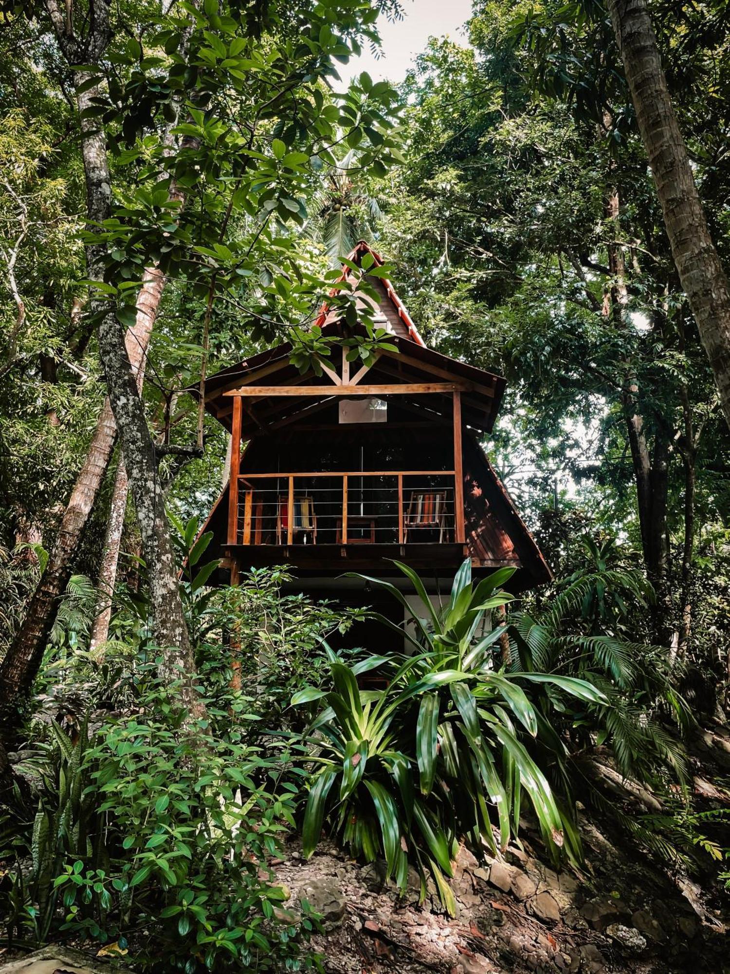 Calala Lodge Cabuya エクステリア 写真